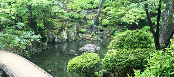 日本庭園の池泉と水 ニワソラ